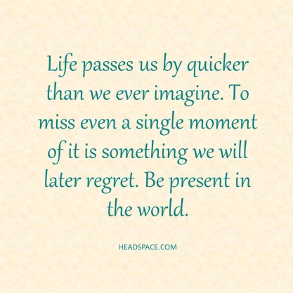 Life passes us by image